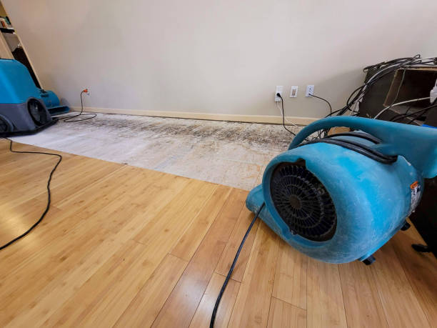 Professional Basement Flood Cleanup technician working in Hudson, NH